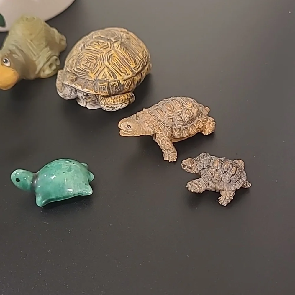 Mini Turtle Collection - Picture 4 of 6